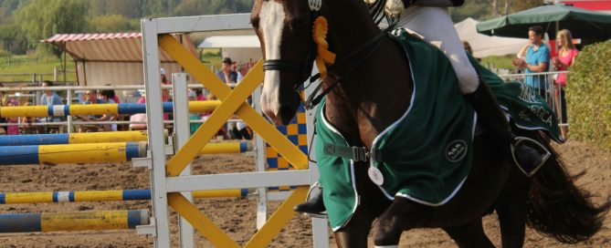 True Bravery in the Saddle: The Mental Game of Neurodivergent Equestrians