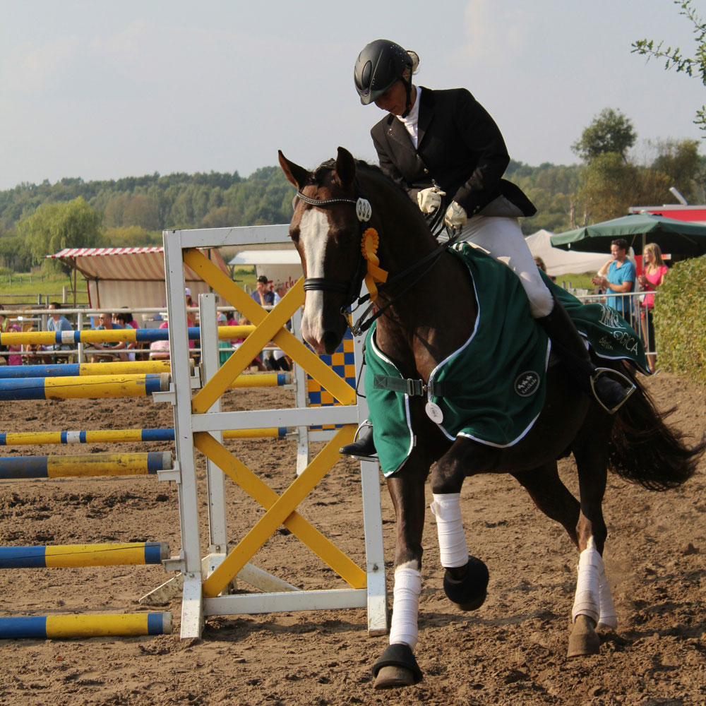 True Bravery in the Saddle: The Mental Game of Neurodivergent Equestrians