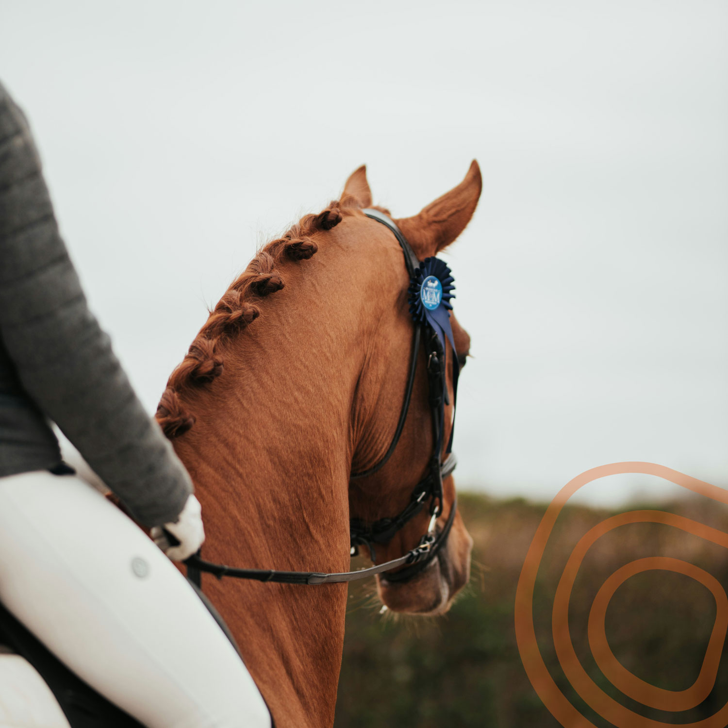 Performance Coaching for Equestrian Athletes
