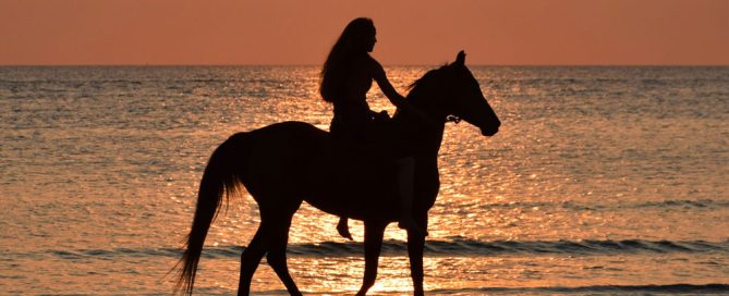 Wired to Advocate: The Science Behind Neurodivergent Equestrians