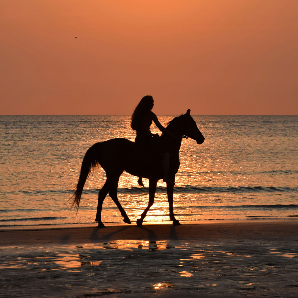 Wired to Advocate: The Science Behind Neurodivergent Equestrians