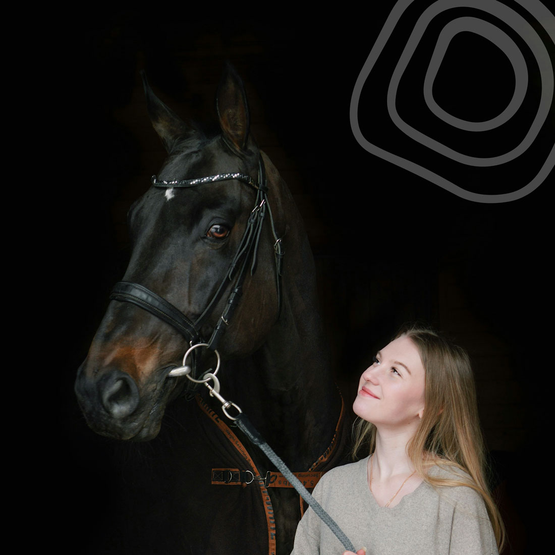 Expert guidance, wherever you are in your equestrian journey | Iris Walshe | Ireland