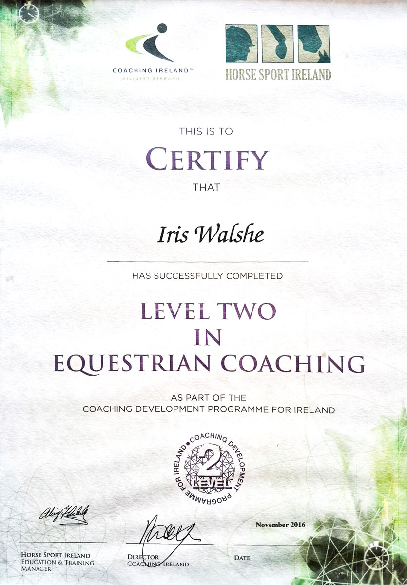 Horse Sport Ireland Level two in equestrian coaching