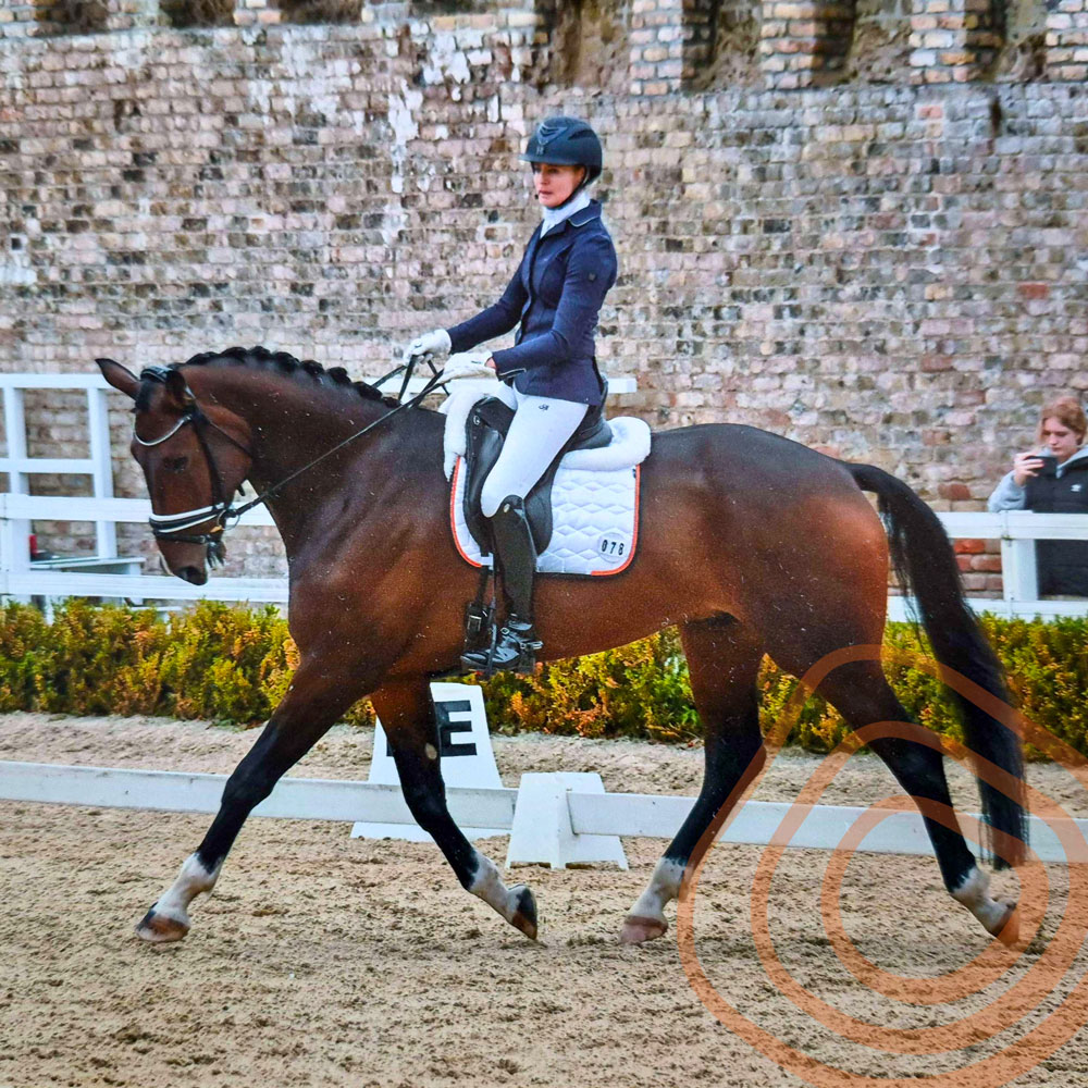 Performance Coaching for Equestrian Athletes
