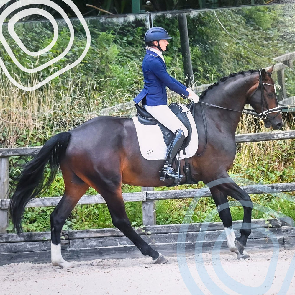 Performance Coaching for Equestrian Athletes