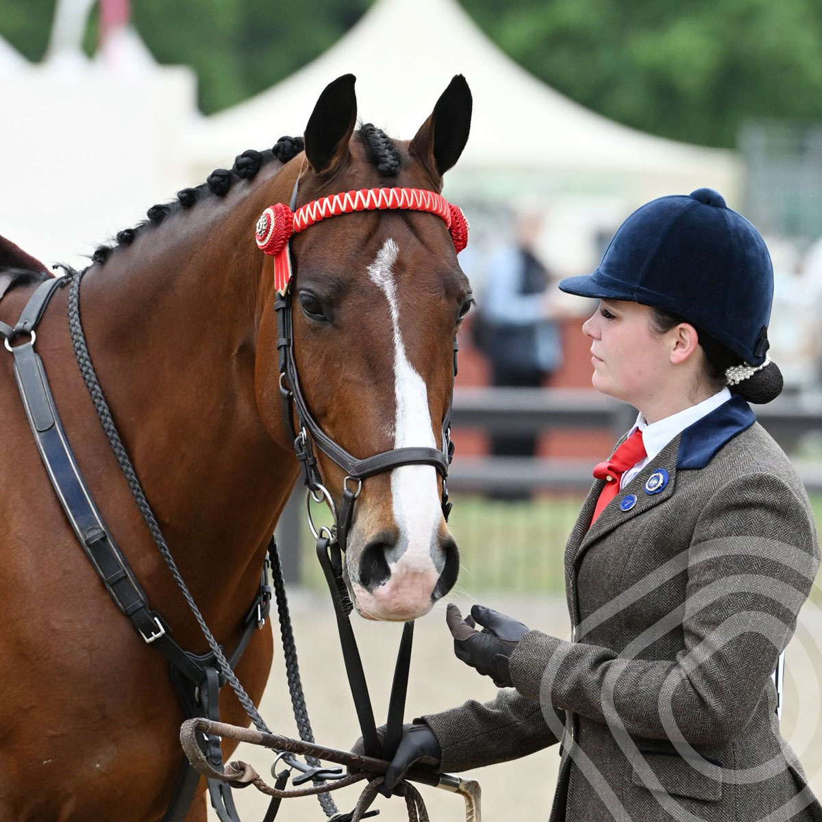 Performance Coaching for Equestrian Athletes
