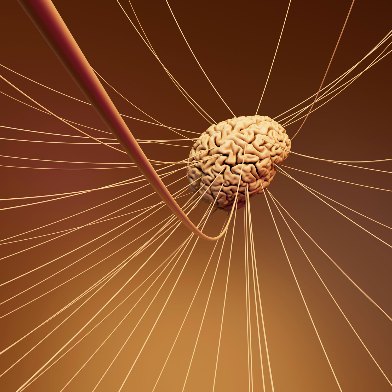 Working Memory & ADHD/AuDHD: How to Stop the Mental Overload