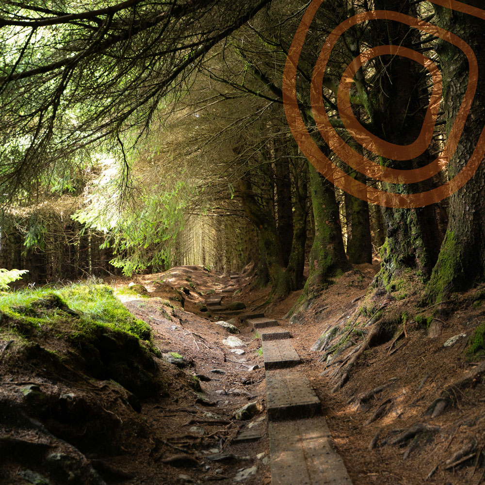 NeuroWave Coaching Wicklow Mountains