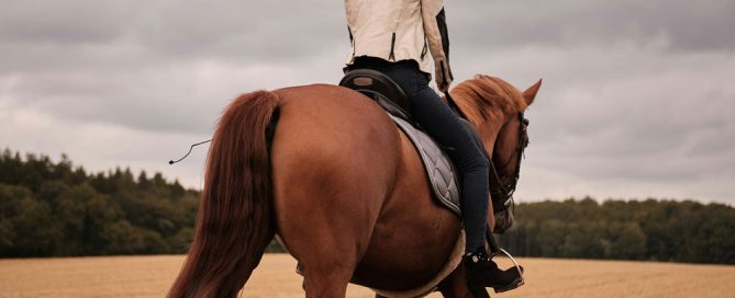 Are neurodivergent equestrian athletes hiding in plain sight?