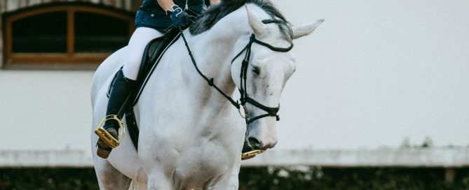 neurodiversity in horse riding, equestrian coaching ADHD, autism horse riding Ireland, equine bond neurodivergent, inclusive horse riding