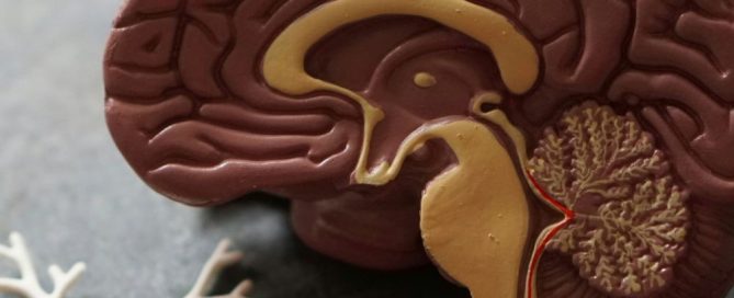 When the Brain does not want to Stop Talking